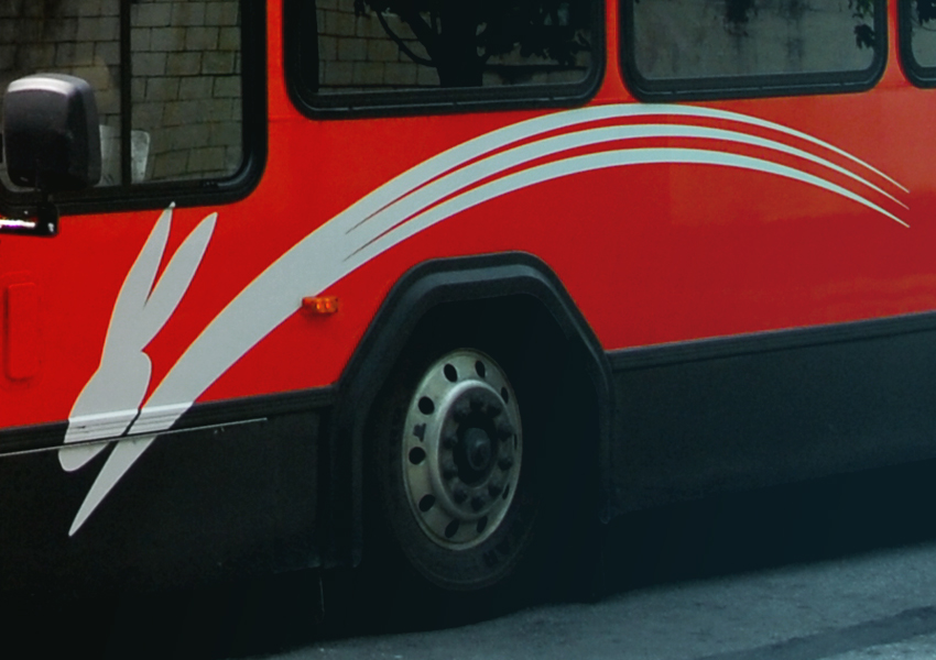 closeup of rabbittransit bus side view